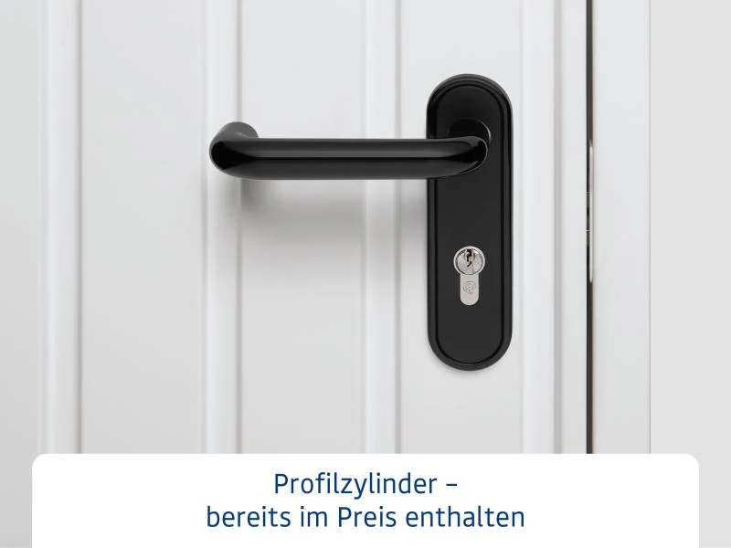 Ecostar Gerätehaus Elegant-P,Typ 2, Schilfgrün, 1 flg - Image 11