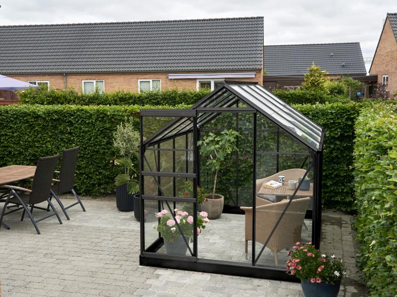 Halls Gewächshaus Popular 86 Schwarz Blankglas - SPARSET inkl. Fundament - Image 3