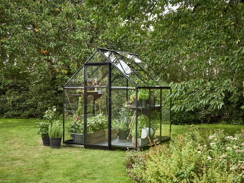 Halls Gewächshaus Qube 66 Schwarz Sicherheitsglas - Image 2