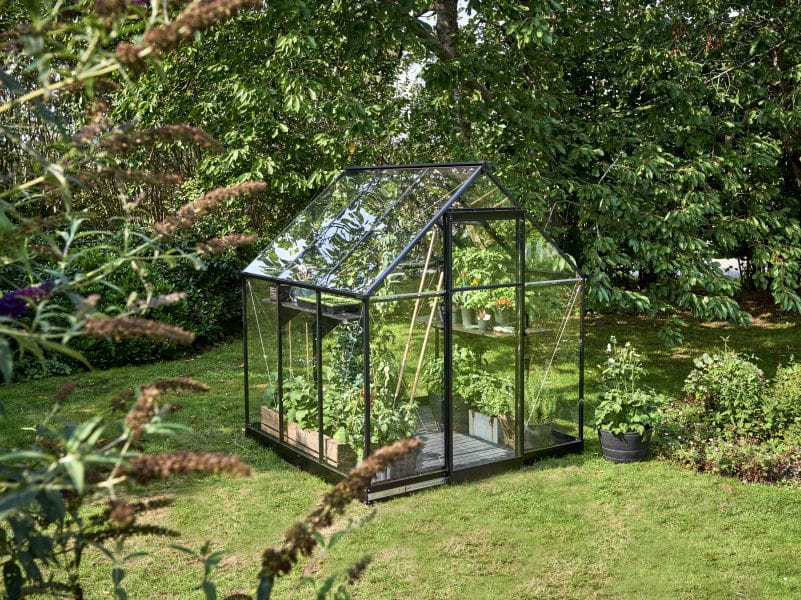 Halls Gewächshaus Qube 66 Schwarz Sicherheitsglas - Image 3