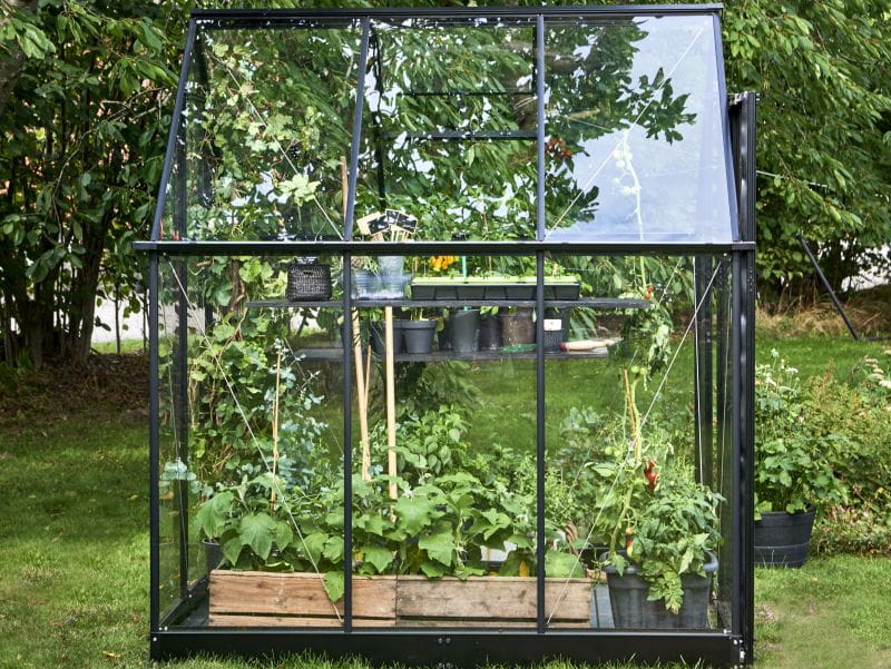 Halls Gewächshaus Qube 66 Schwarz Sicherheitsglas - Image 7