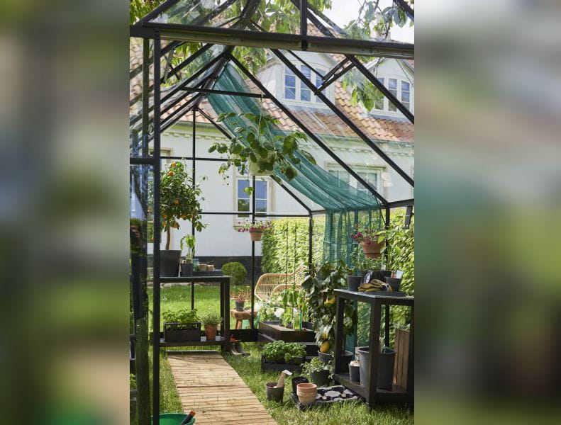 Halls Gewächshaus Qube+ 812 Schwarz Sicherheitsglas - Image 2