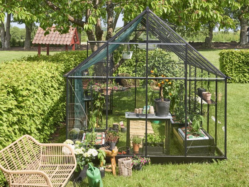 Halls Gewächshaus Qube+ 812 Schwarz Sicherheitsglas - Image 3