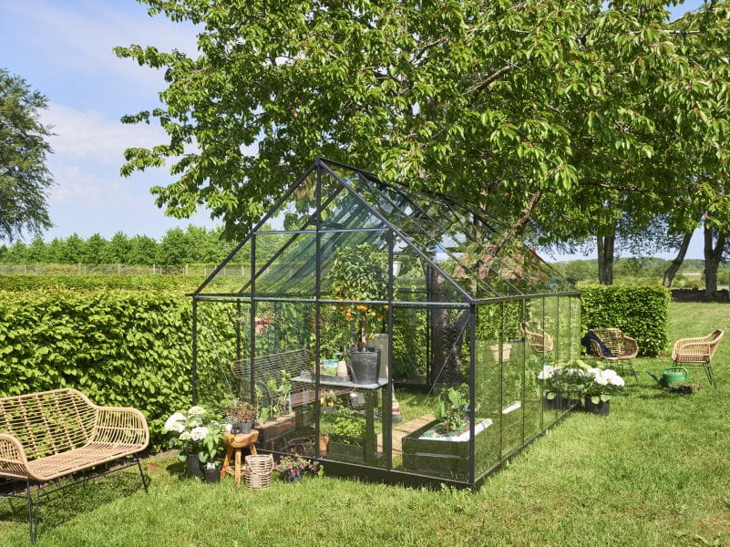 Halls Gewächshaus Qube+ 812 Schwarz Sicherheitsglas - Image 4