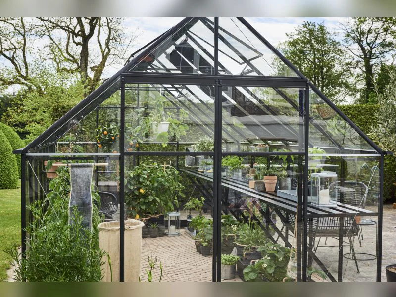 Halls Gewächshaus Qube+ 816 Schwarz Sicherheitsglas - Image 5