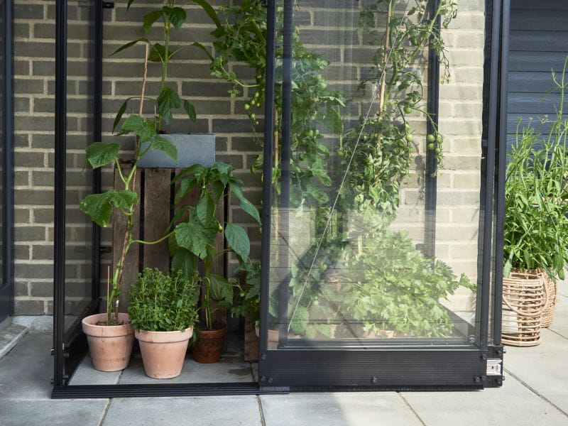 Halls Gewächshaus Qube Lean-to 24 Schwarz Sicherheitsglas - Image 3