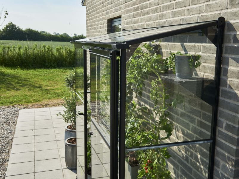 Halls Gewächshaus Qube Lean-to 26 Schwarz Sicherheitsglas - Image 4