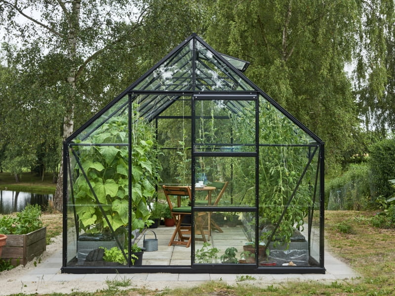 Halls Gewächshaus Universal 128 Schwarz Blankglas 9,9m² - SPARSET inkl. Fundament schwarz - Image 5