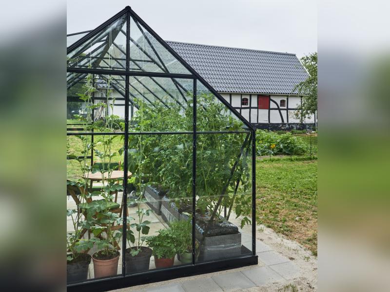 Halls Gewächshaus Universal 148 Schwarz 3 mm Blankglas - Image 3