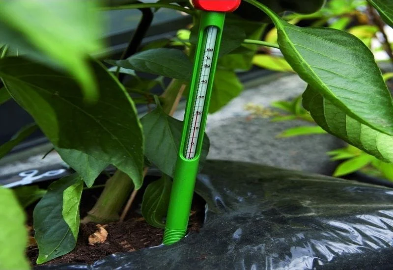 Juliana Erdbodenthermometer - Image 2