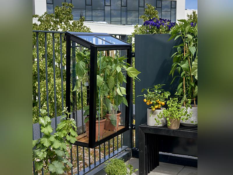 Juliana Urban Gewächshaus Balcony schwarz - Image 3