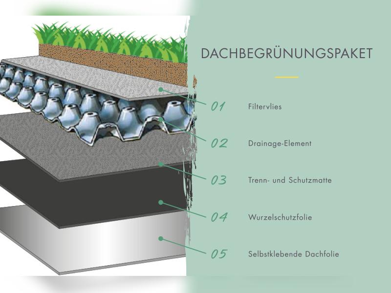 Karibu Gartenhaus Lotus, natur, inkl. Dachbahn, Vlies, Wurzelschutzfolie (für Dachbegrünung) und Fußboden - Image 4