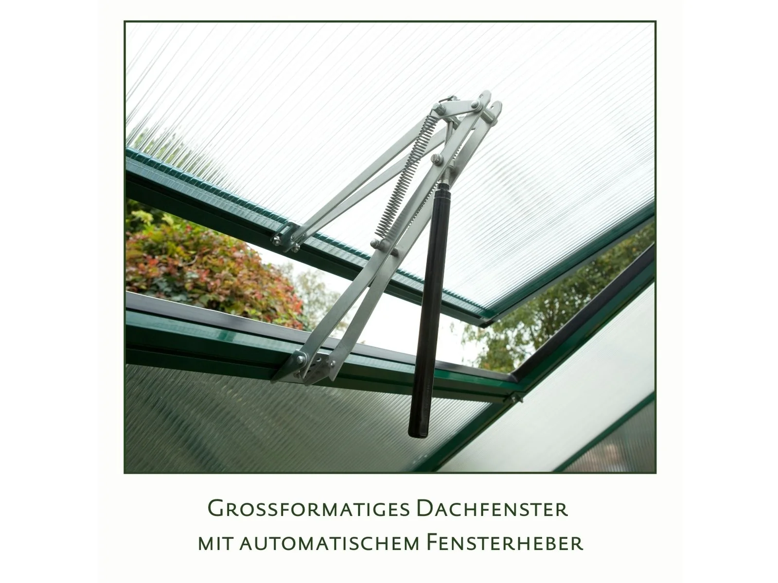 KGT Gewächshaus Rose III, HKP 10 mm, anthrazit-grau - Image 3