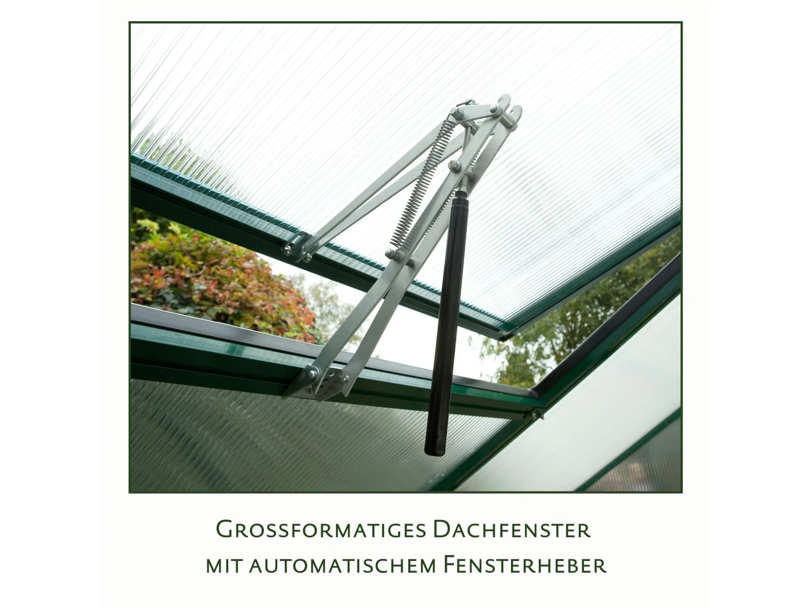 KGT Gewächshaus Rose III, HKP 10 mm, pressblank - Image 3