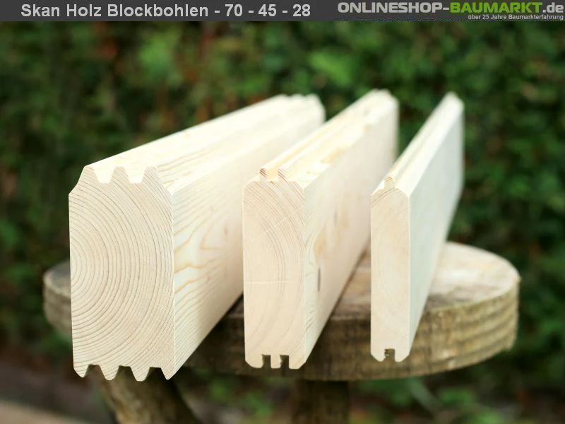 Skan Holz Blockbohlenhaus Bern 2 45plus, 560 x 420 cm - Image 9