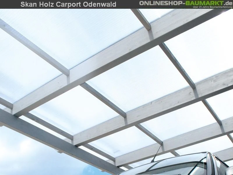 Skan Holz Carport Odenwald 428 x 648 cm Leimholz - Image 5