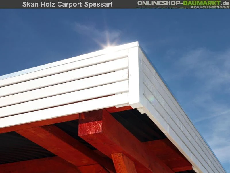 Skan Holz Carport Spessart 355 x 604 cm Leimholz - Image 4