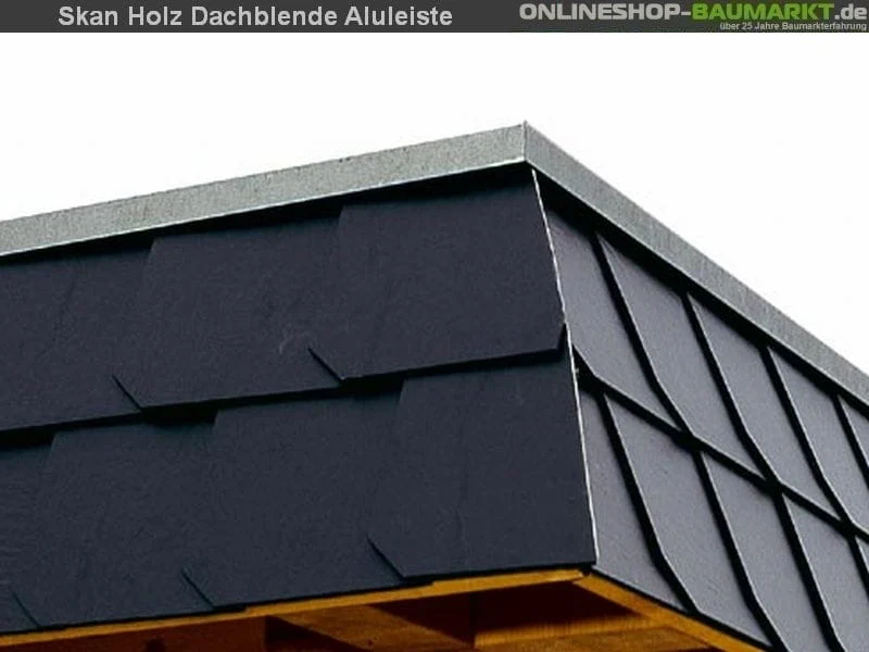 Skan Holz Carport Spreewald 396 x 893 cm mit schwarzer Blende - Image 6