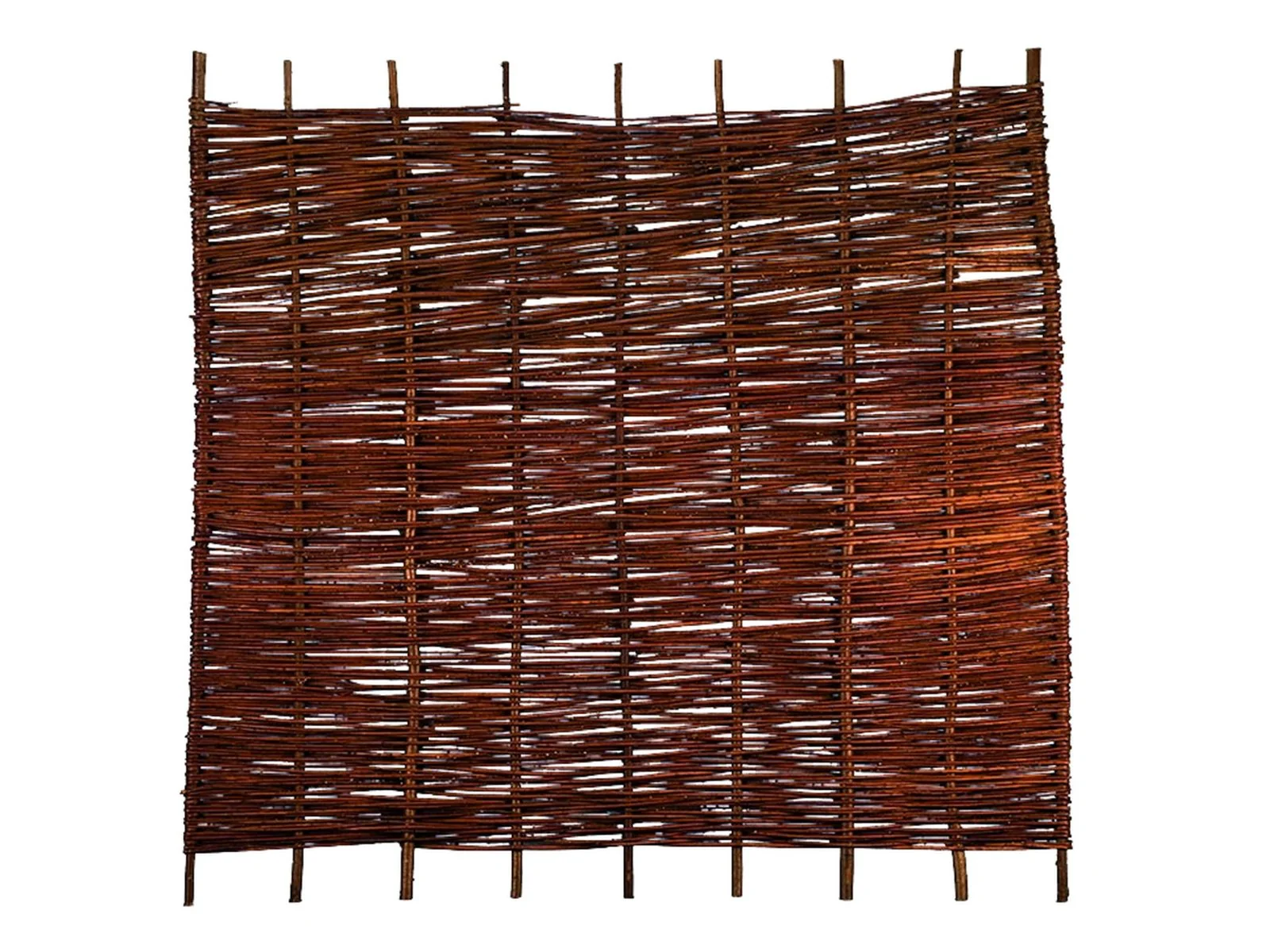 T&J Weidegeflechtzaun ASO, auf Haselnussruten, 180 x 180 cm