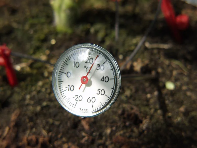 Vitavia Erdthermometer