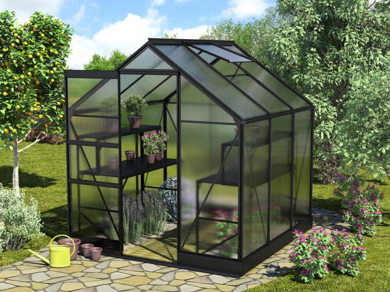 Vitavia Gewächshaus Apollo 3800 HKP 6 mm Schwarz