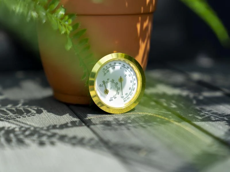 Vitavia Hygrometer