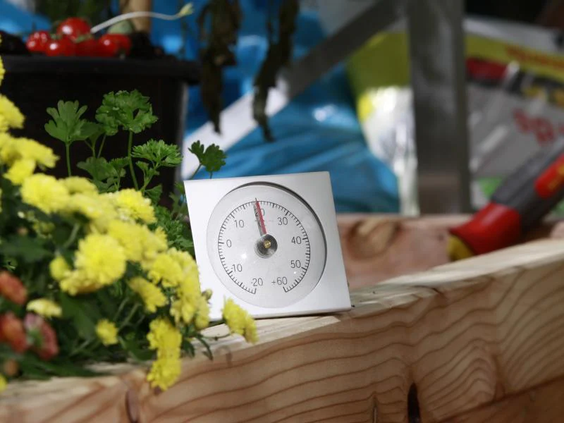 Vitavia Thermometer