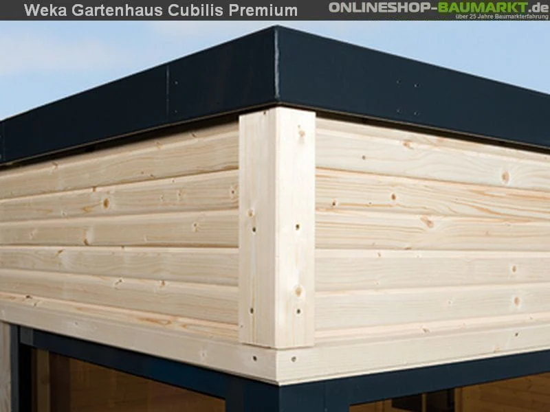 Weka Gartenhaus wekaLine 412 Größe 1 45 mm Premium - Image 3