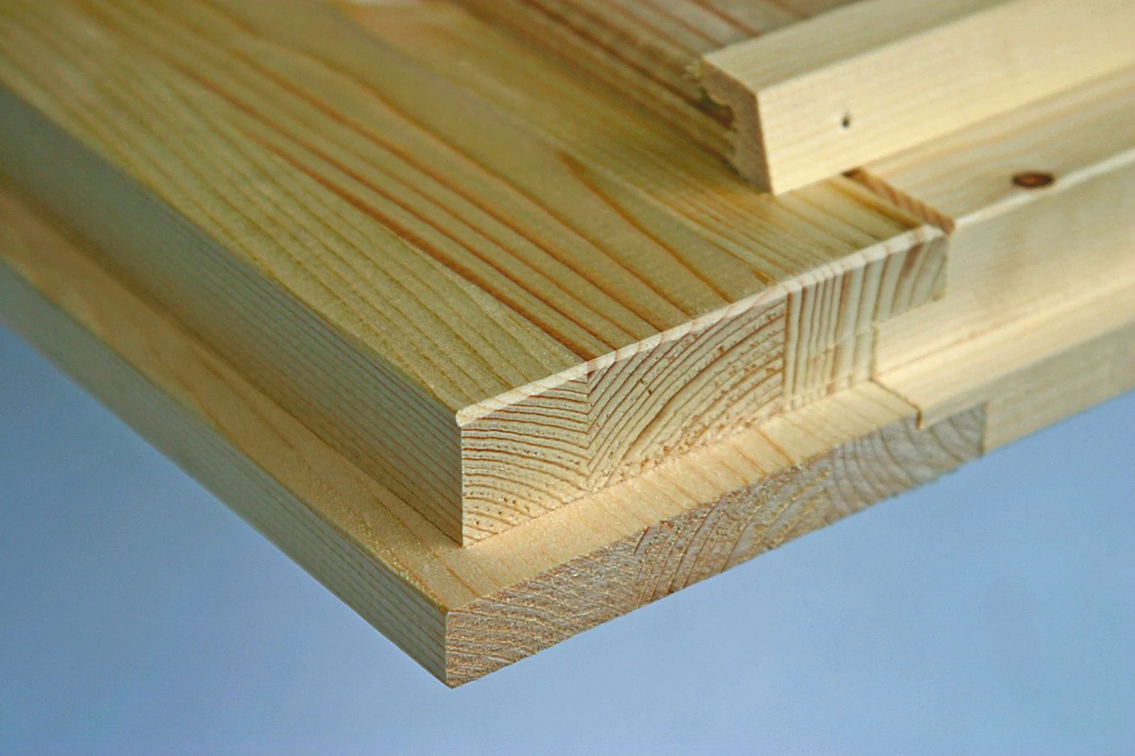 Wolff Finnhaus Gartenhaus Pia 3030, 34 mm, inkl. Halbglastür und Fußboden - Image 3